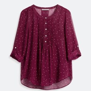 Daniel Rainn Maroon Dotted Blouse